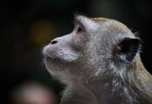 Maneuvers in the Dark